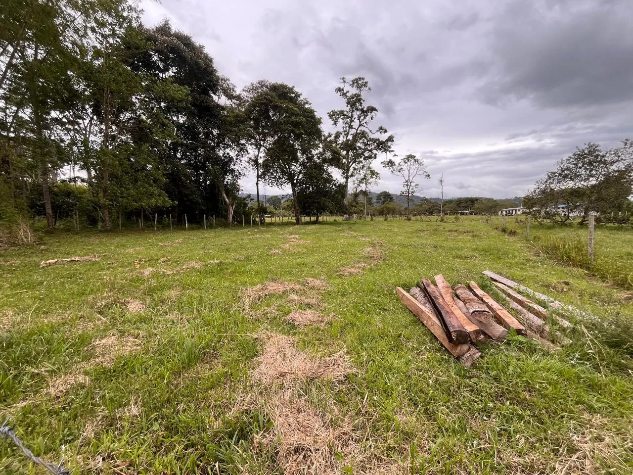 Venta Lote Rural Corregimiento Regueros Pitalito Huila