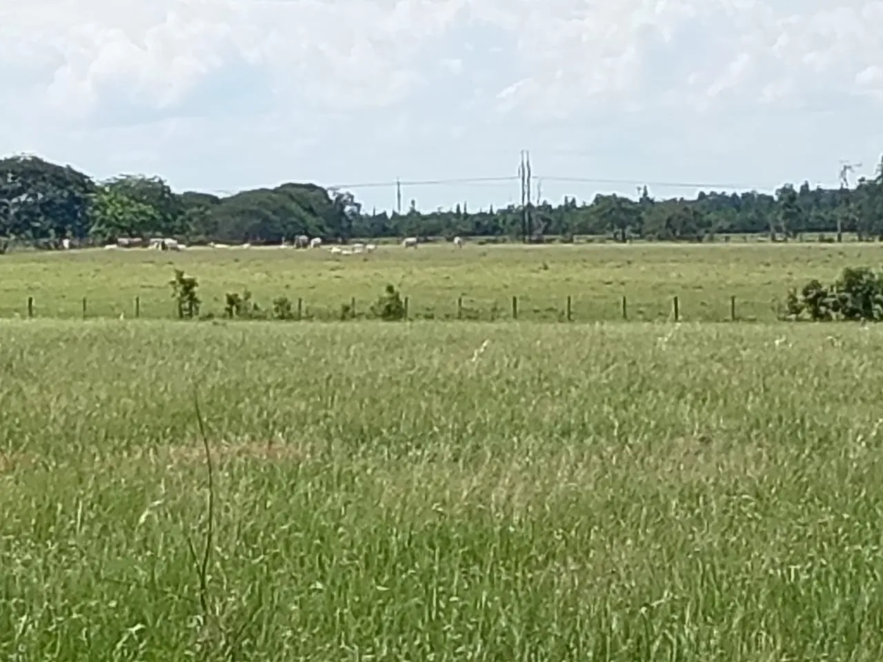 Venta Finca en Puerto Lopez Meta