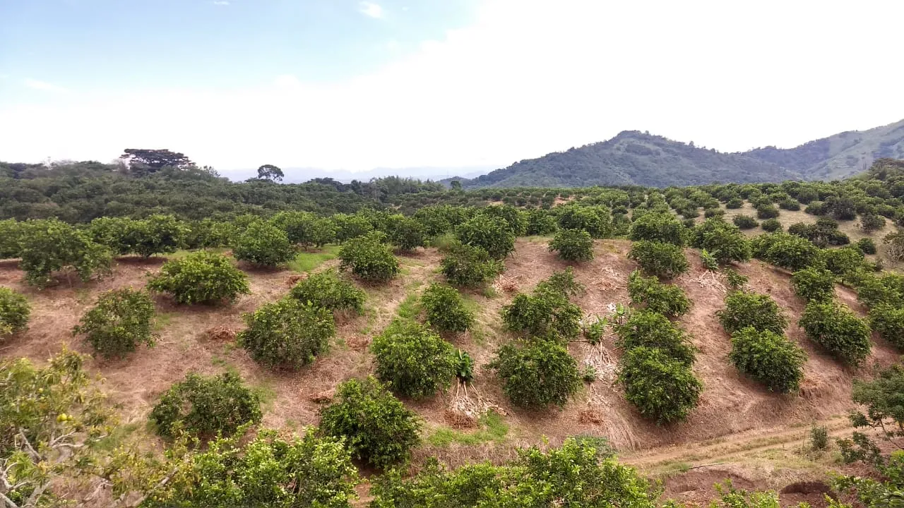 Venta Finca en Marsella Risaralda