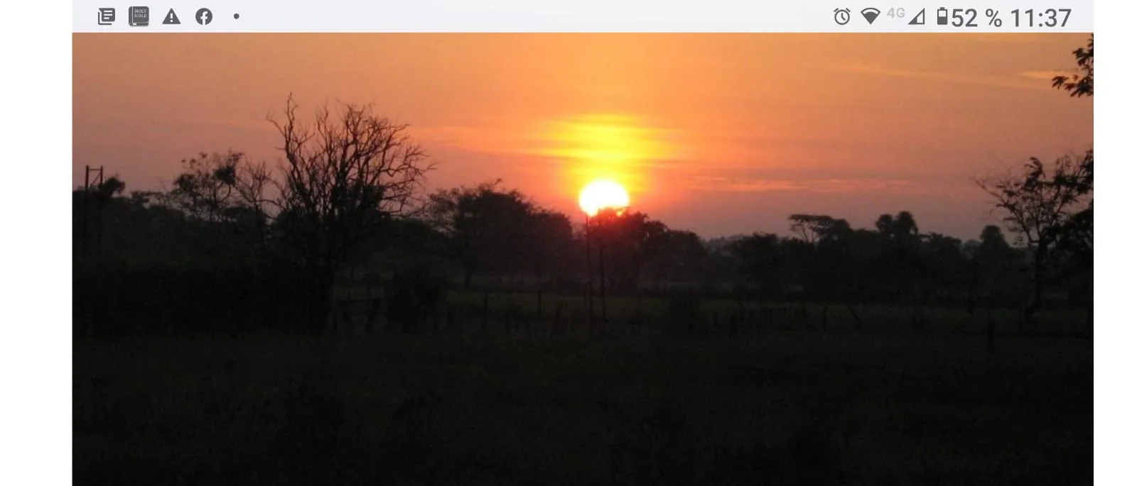 Venta Finca en el Vichada